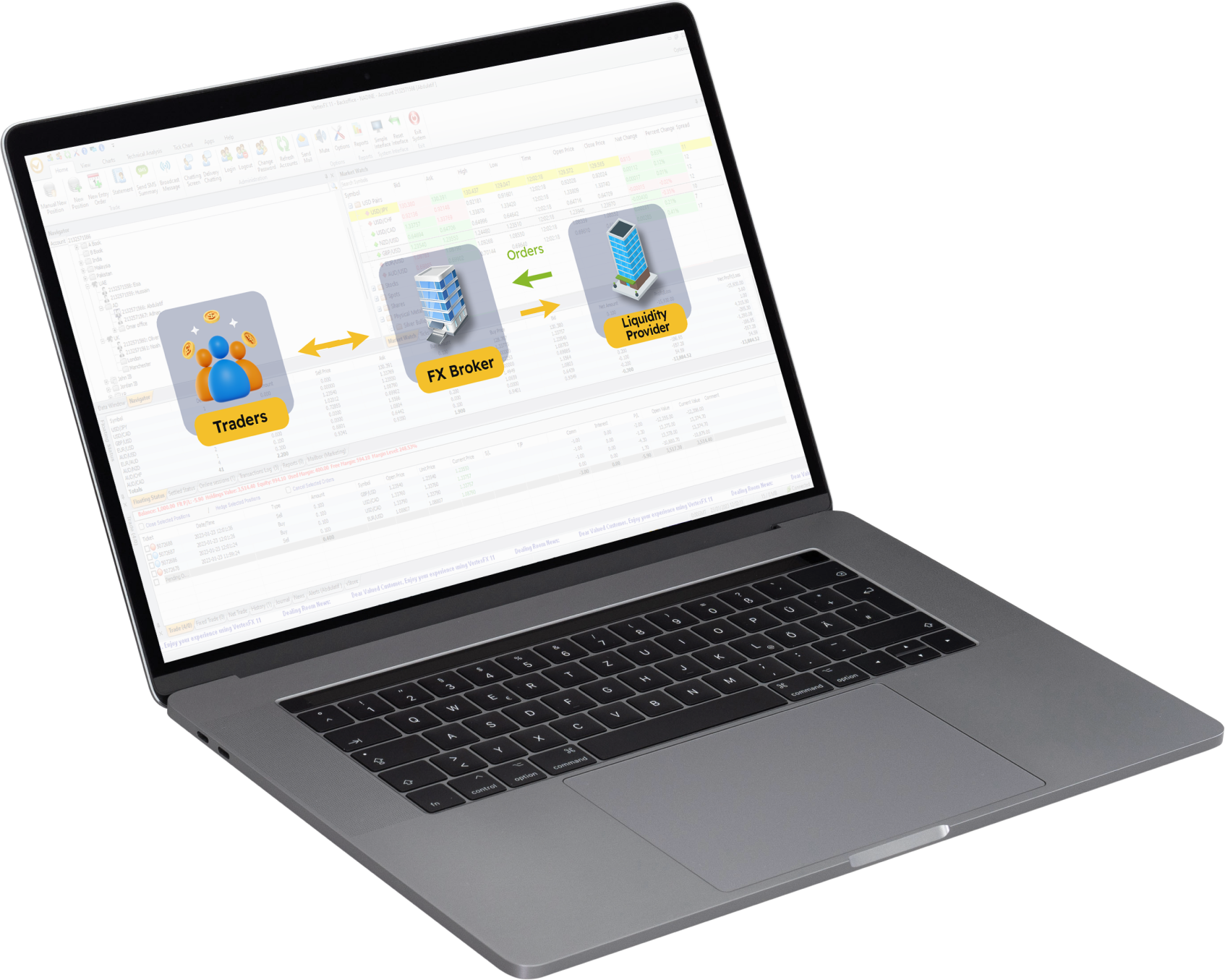 Vertex Risk Management Bridge